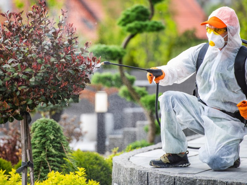 Tomarza Haşere İlaçlama